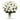 36 Long Stem White Roses