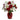 red and white flowers in a vase