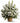 white flowers basket
