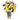 colorful flowers in a vase
