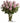 pink roses
