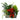 Seasons Greetings Planter Basket