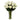 one dozen long stem white roses