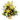 yellow flowers in a basket