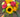 The Best Birthday Flowers by Personality: Friend, Partner, or Parent