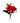 Classic Rose Boutonniere