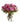 12 Long Stem Lavender Roses