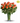 orange roses