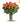 12 Long Stemmed Orange Roses