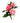 Spray Rose Boutonniere