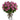 Two Dozen Long Stemmed Lavender Roses
