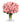 36 Long Stem Pink Roses