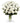 36 Long Stem White Roses