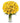 36 Long Stem Yellow Roses 