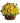 yellow flowers bouquet