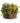 planter basket