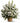 white flowers basket