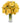 yellow flowers in a vase