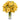 yellow flowers in a vase