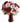 roses-and-carnations