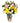 colorful flowers in a vase