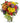 warm color flowers in a vase