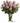 pink roses