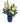 flowers in a blue vase