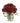 Rose Romanesque