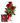 Rose & Card Special