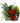 Seasons Greetings Planter Basket