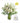 Sympathy Florist's Choice IV
