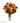 Two Dozen Long Stemmed Mixed Roses