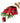 christmas_bouquet