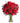 red-carnations