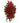 red_casket_spray