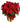 Deluxe_Poinsettia_Special