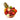 Fruit_Harvest