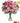 warm color flowers
