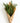 Holiday_Market_Bunch