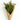 Holiday_Market_Bunch