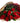 One_Dozen_Long_Stem_Red_Roses