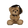 bear_plush