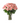 36 Long Stem Pink Roses