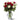 red and white roses