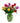 Spring Tulips