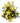 yellow flowers in a basket