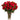 red roses in a vase