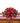red roses casket spray