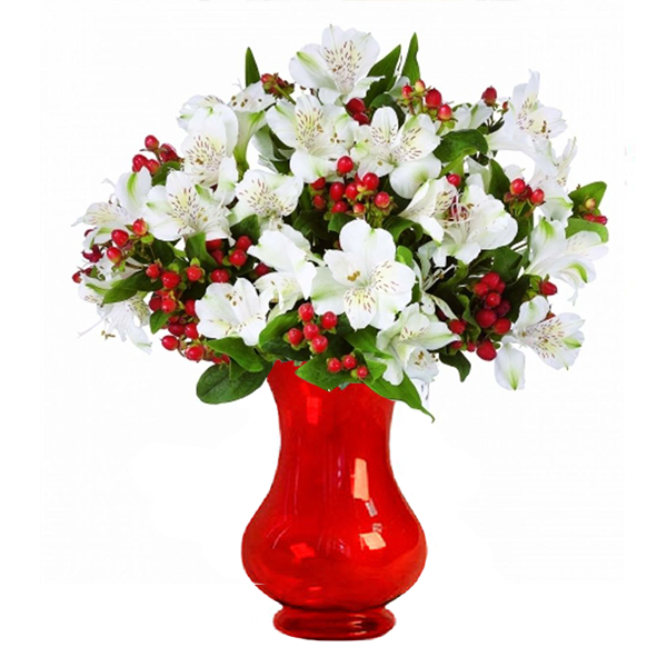 100 Blooms of Holiday Alstroemeria 